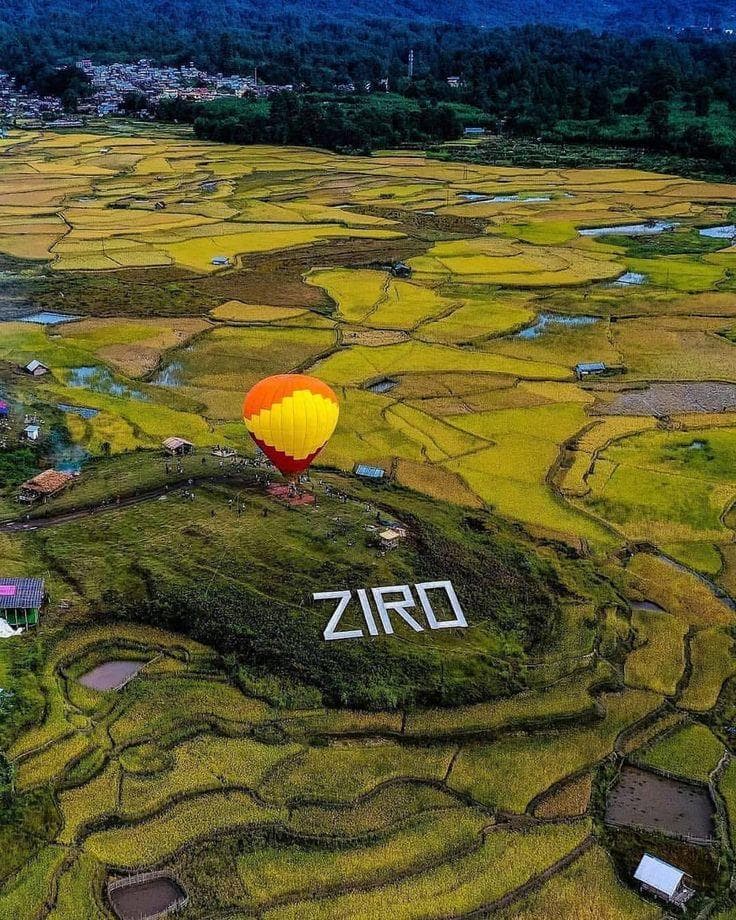 Lush green pine groves and wet paddy rice cultivation fields in Ziro Valley, Arunachal Pradesh