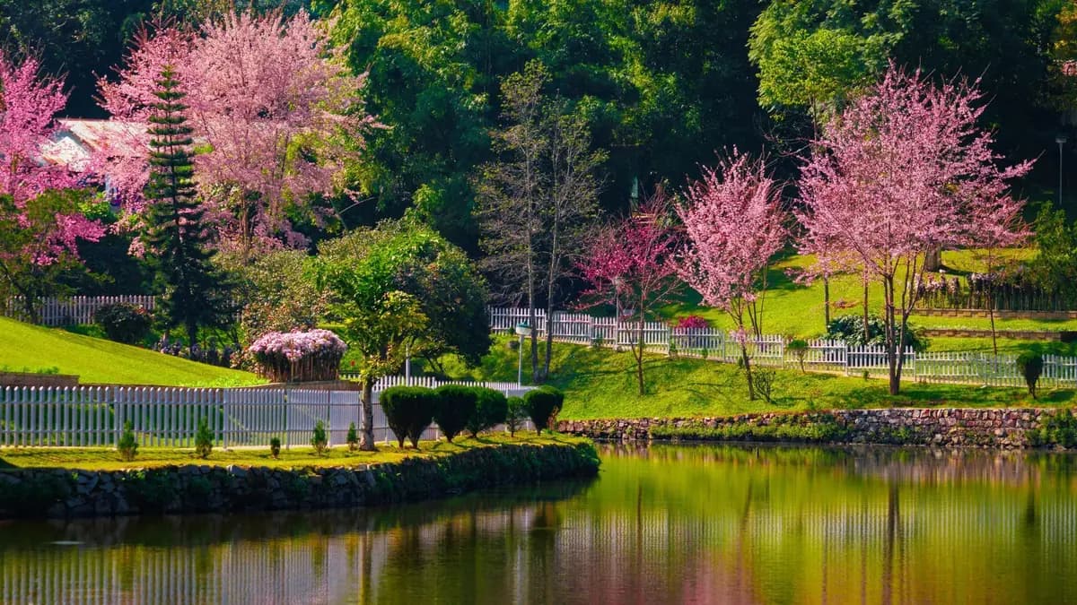 Ward's Lake surrounded by lush green trees in the capital hill station Shillong, Meghalaya
