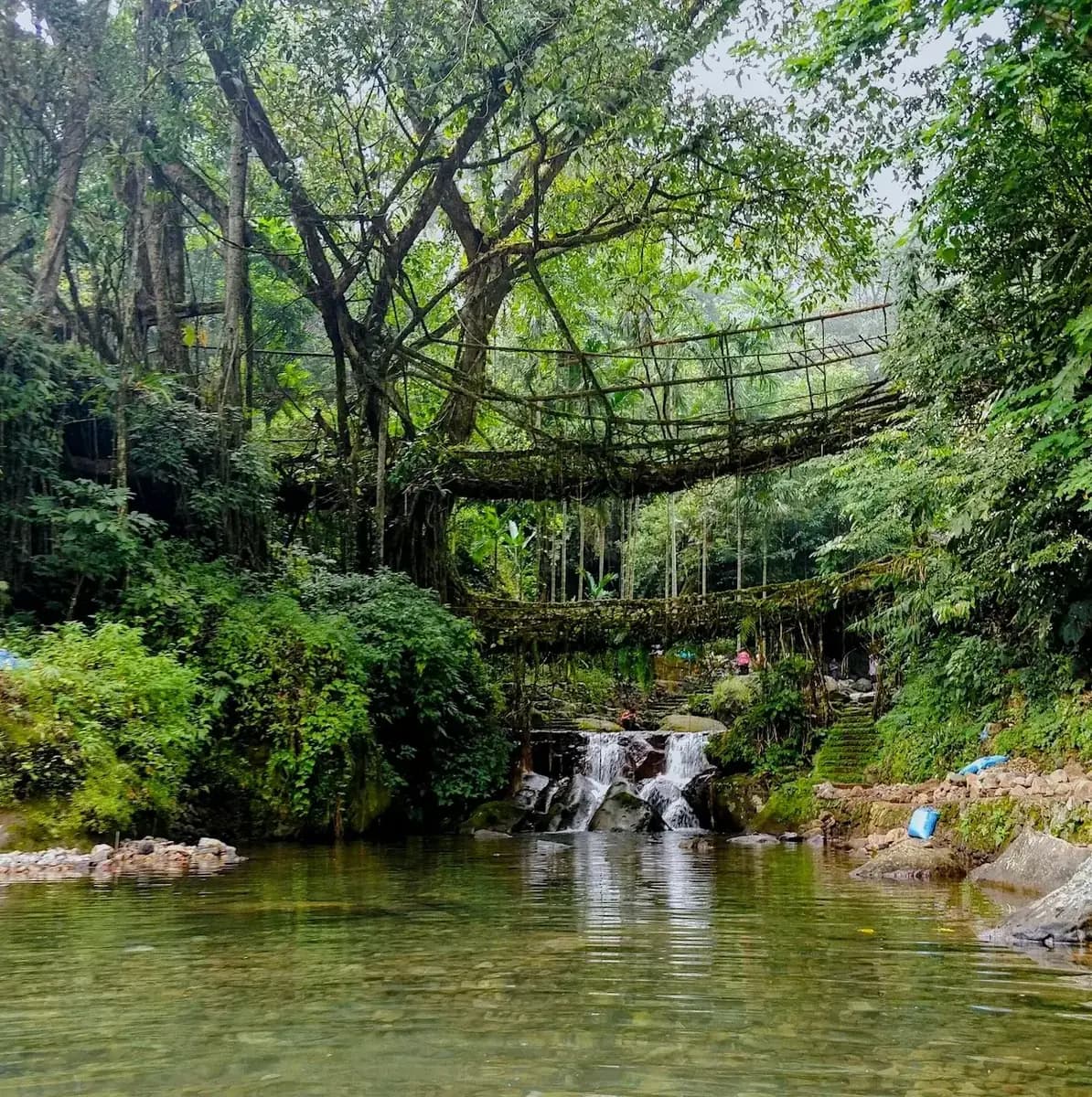 Meghalaya Tourism Guide - Dawki River glass boating and Cherrapunji root bridges travel packages